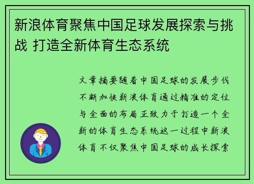 新浪体育聚焦中国足球发展探索与挑战 打造全新体育生态系统